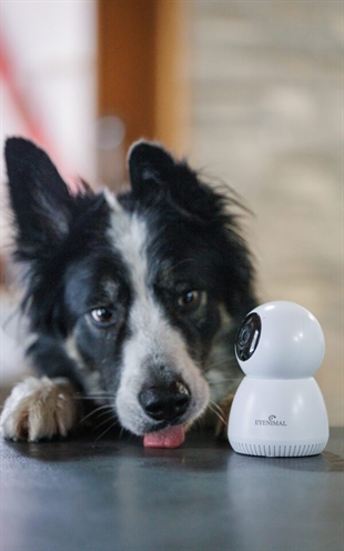 Numaxes Eyenimal Pet Vision Live Hd Camera Zonder Geluid Detectie - Afbeelding 6