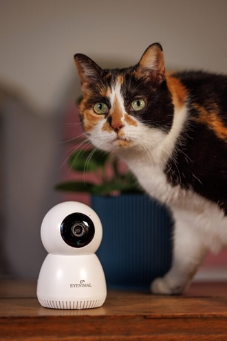 Numaxes Eyenimal Pet Vision Live Hd Camera Zonder Geluid Detectie - Afbeelding 7